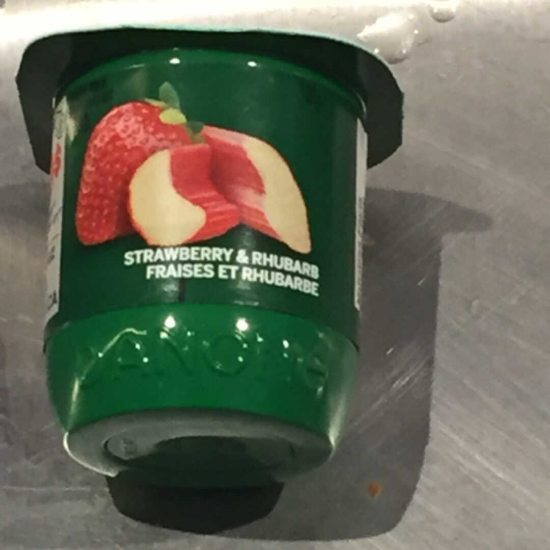 Activia Strawberry & Rhubarb Yogurt
