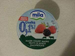 Mila Yogurt Magro Frutti di Bosco