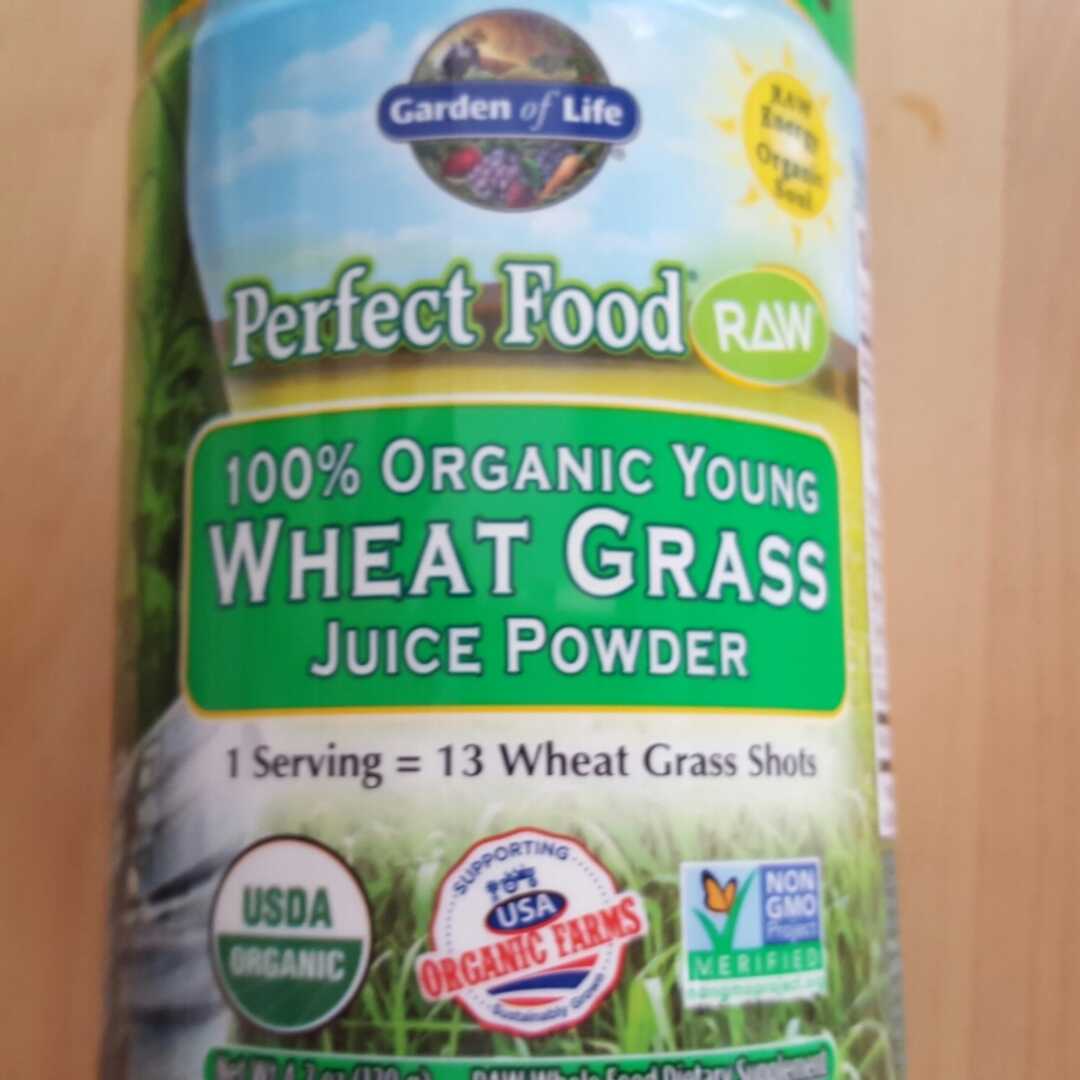 Garden of Life 100% Organic Young Wheat Grass Juice Powder
