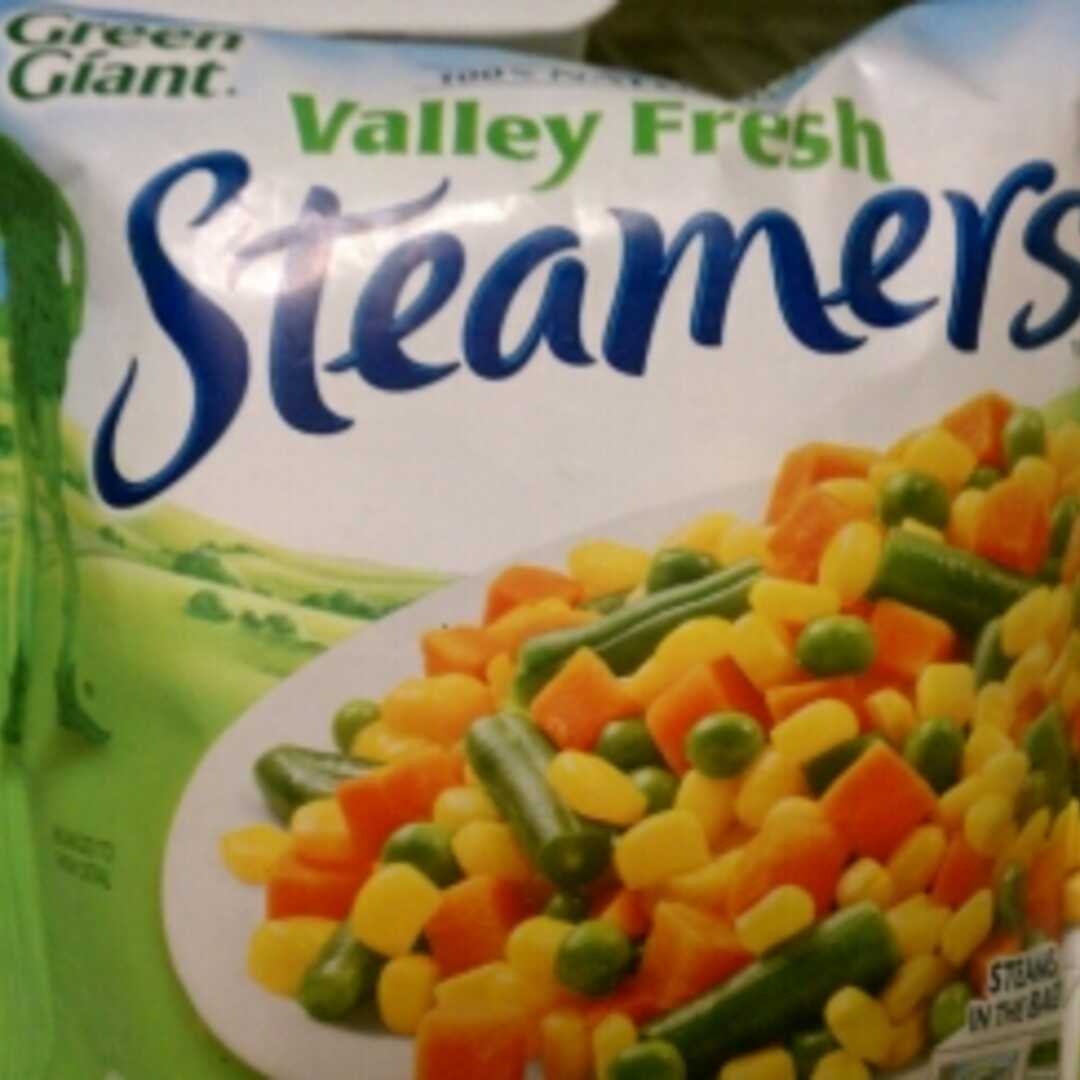 Green Giant Valley Fresh Steamers Mixed Vegetables