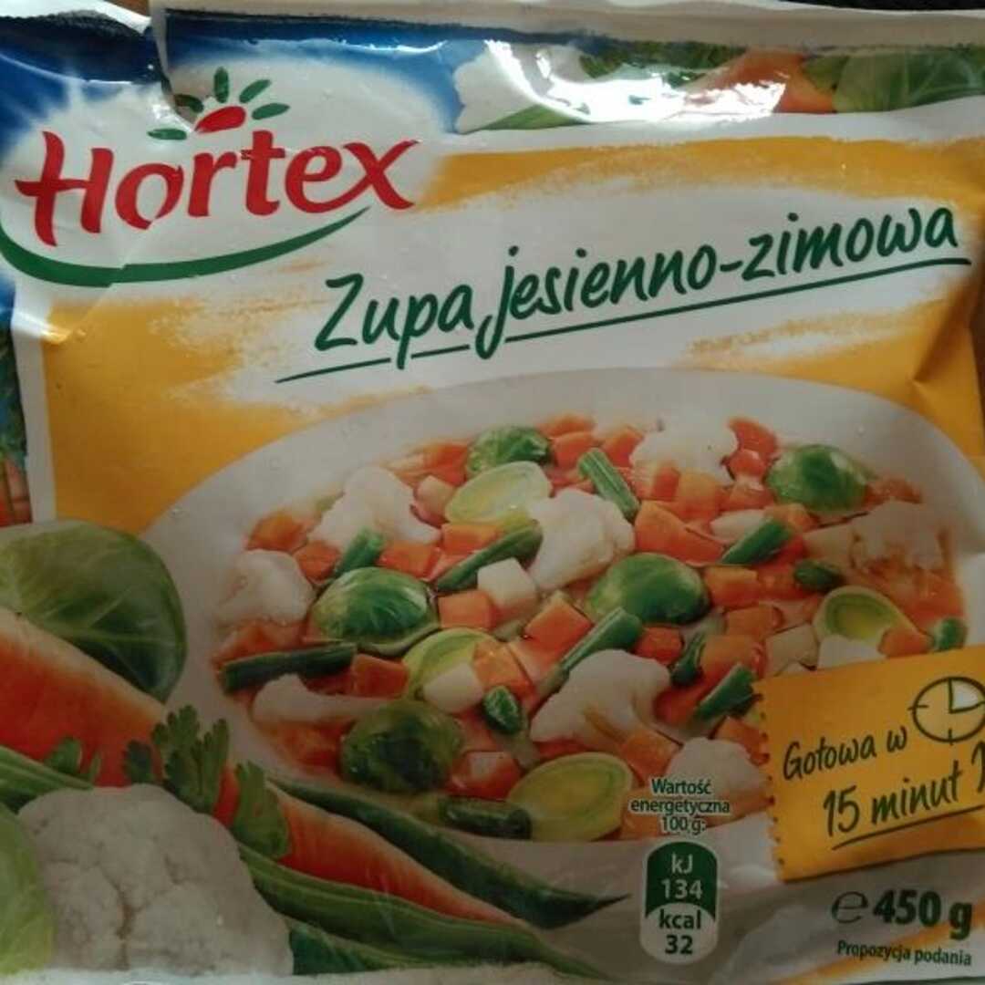 Hortex Zupa Jarzynowa