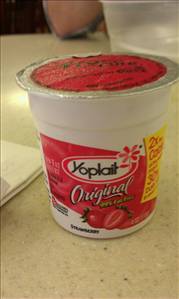 Fruit Yogurt (Lowfat, 11g Protein Per 8oz)