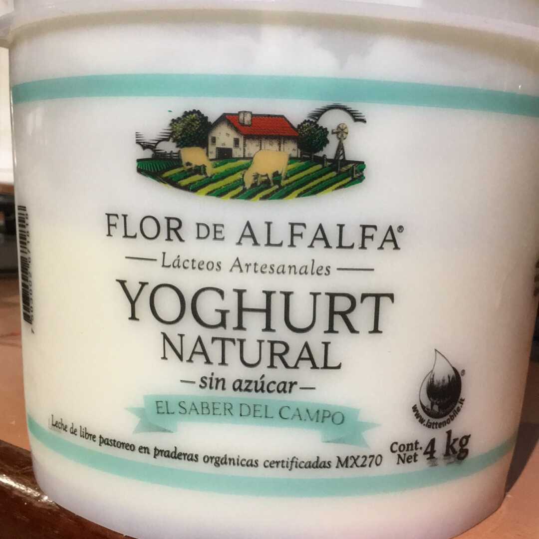 Flor de Alfalfa Yogurt Natural sin Azúcar