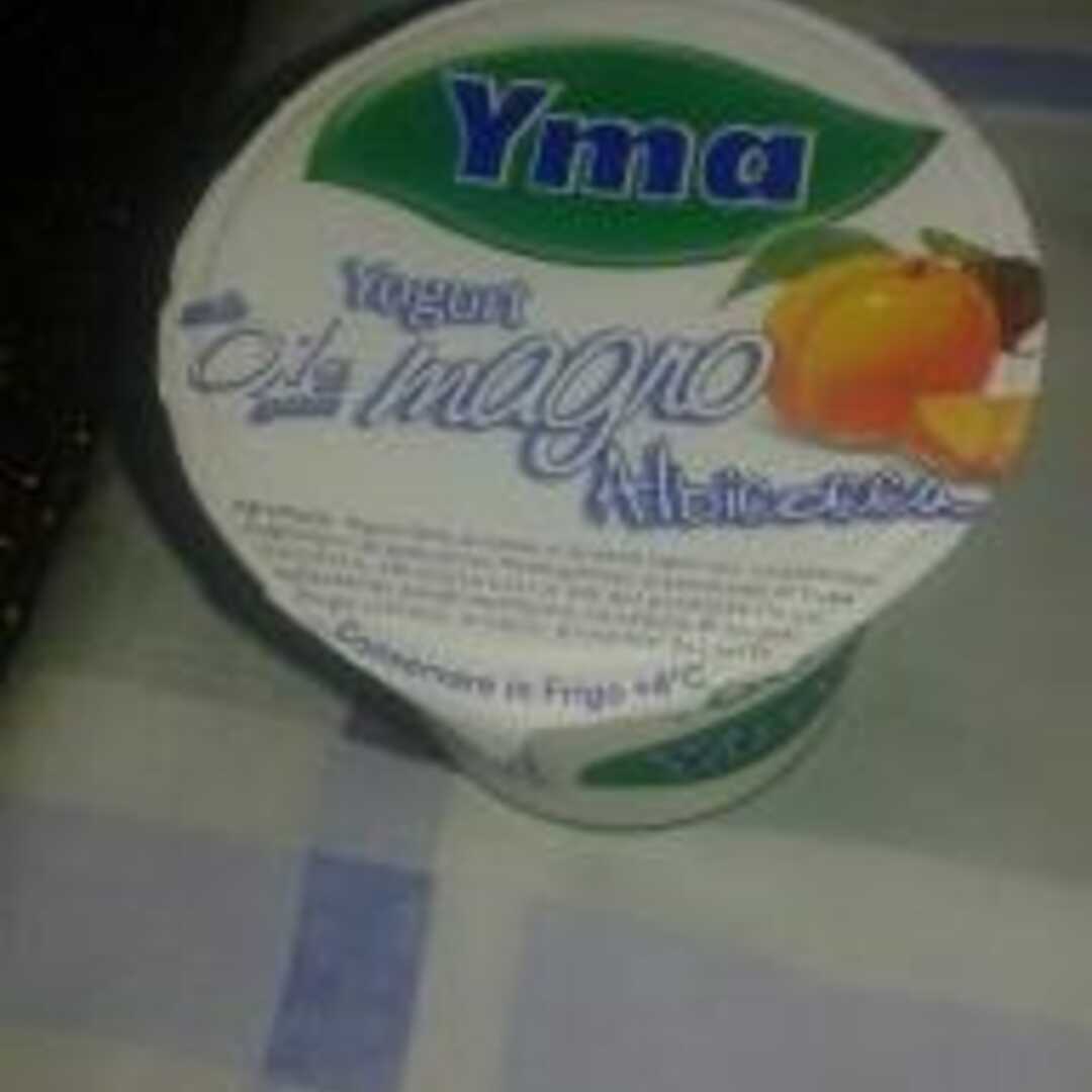 YMA Yogurt Magro Albicocca