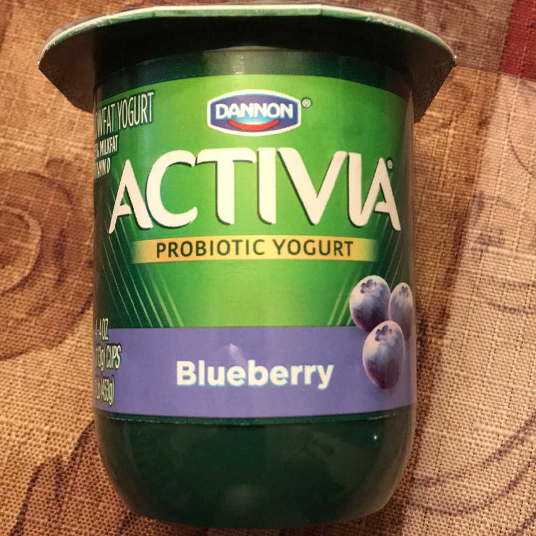 Activia Blueberry Yogurt