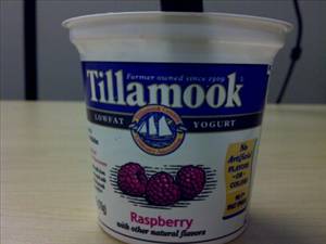 Tillamook Lowfat Raspberry Yogurt