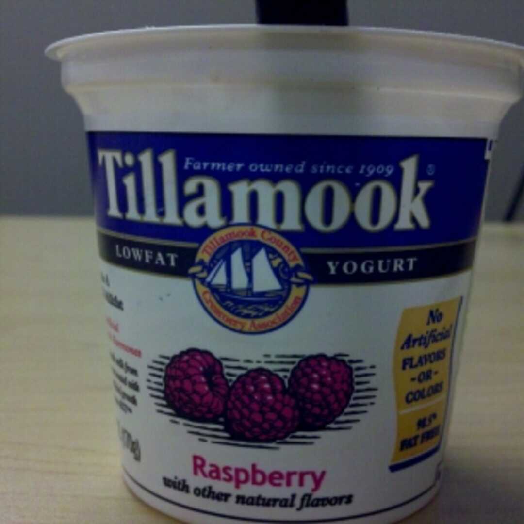 Tillamook Lowfat Raspberry Yogurt
