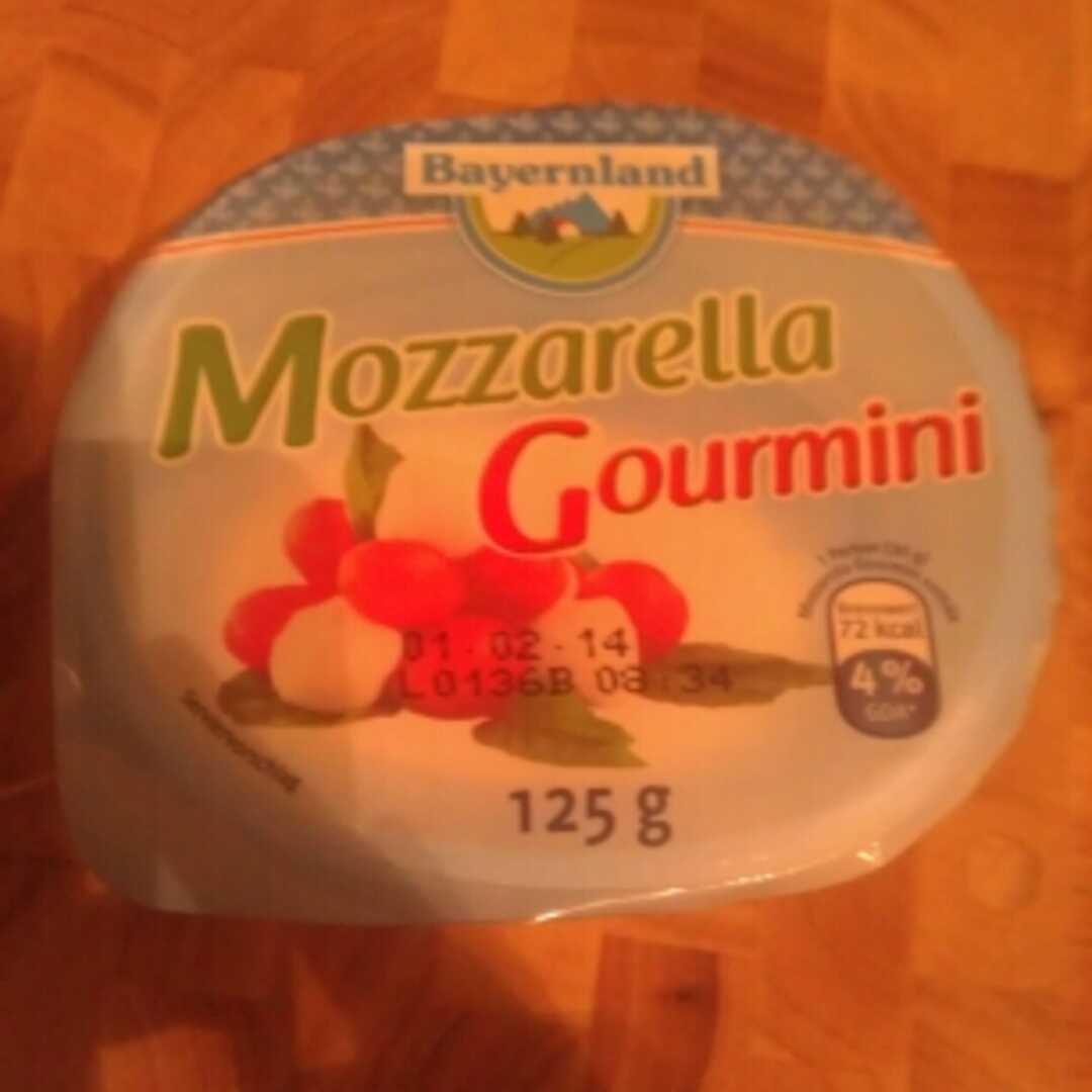 Bayernland Mozzarella Gourmini