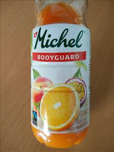 Michel Bodyguard