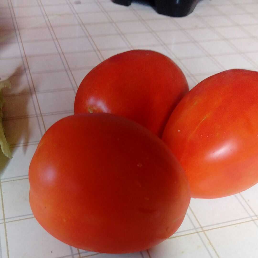 Tomates Rojos