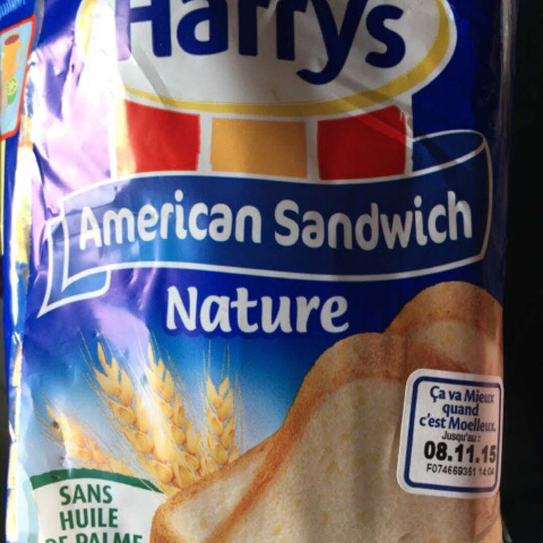 Harry's American Sandwich Nature