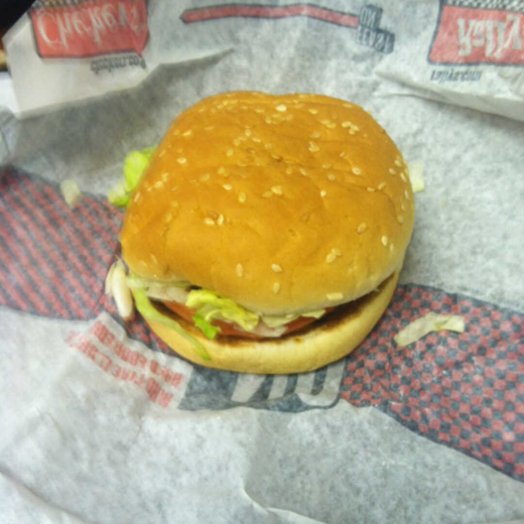 Checkers Checkerburger with Cheese