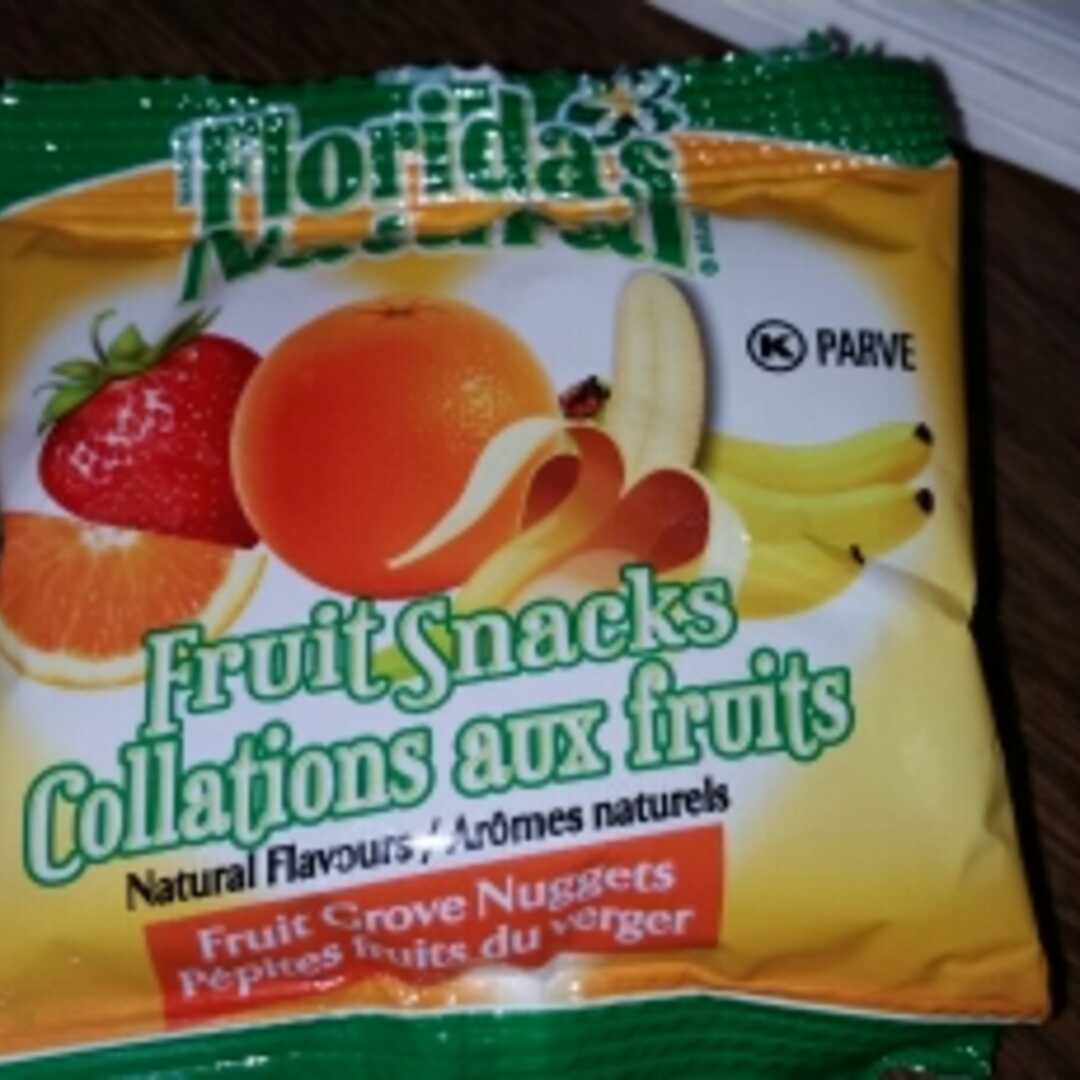 Florida's Natural Fruit Snacks