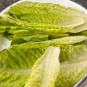 Green Leaf Lettuce