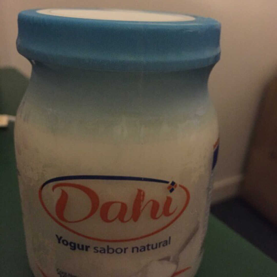 Dahi Yogur Sabor Natural