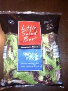 Little Salad Bar Premium Blend Spring Mix
