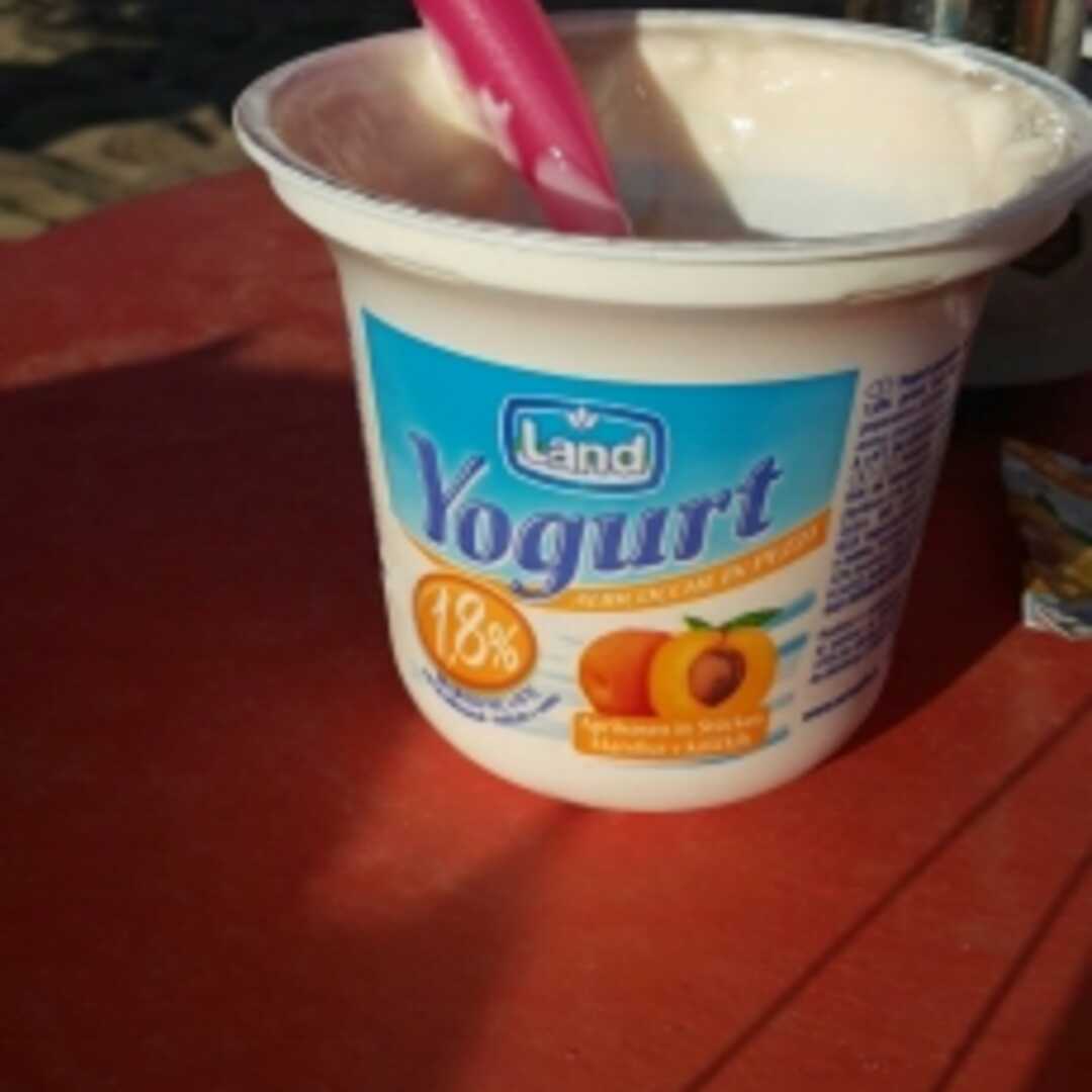 Yogurt alla Frutta (Basso Contenuto di Grassi, 11g di Proteine Ogni 214g)