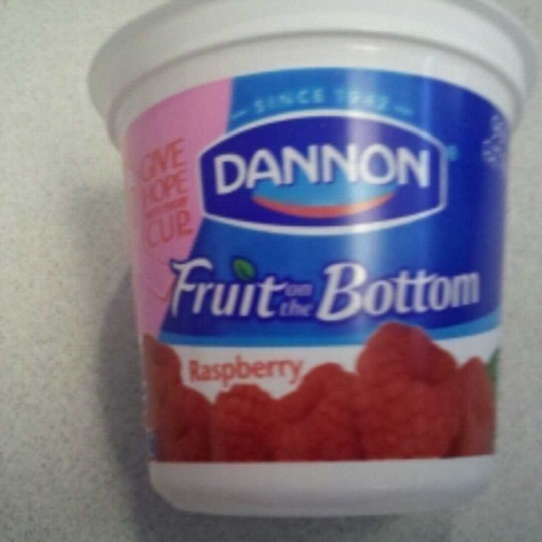 Dannon Fruit on the Bottom Yogurt - Raspberry