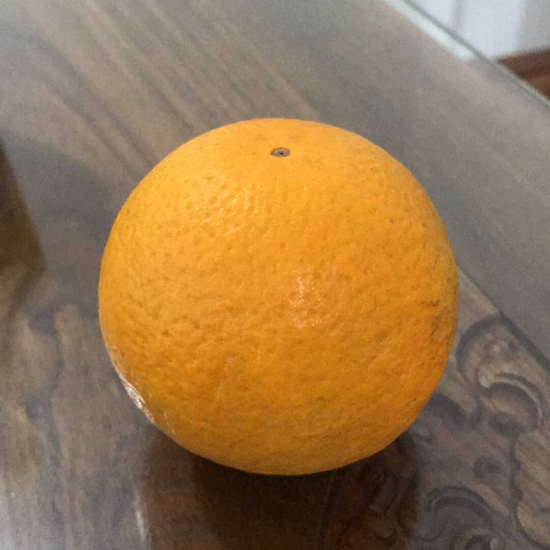 五脐橙子