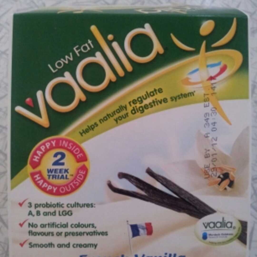Vaalia French Vanilla Light Probiotic Yoghurt