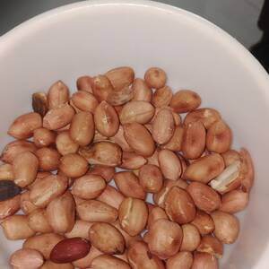 Kacang Sangrai Kering (tanpa Garam)
