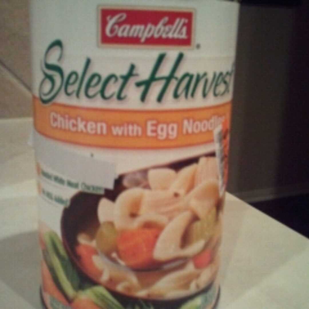 Campbell's Select Harvest Healthy Request Chicken with Egg Noodles