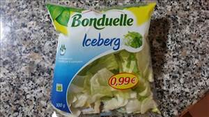 Bonduelle Iceberg