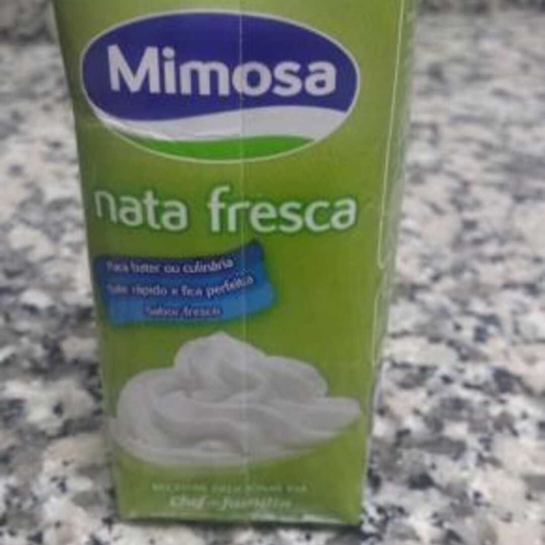 Mimosa Nata Fresca