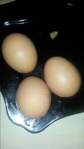 Вареное Яйцо