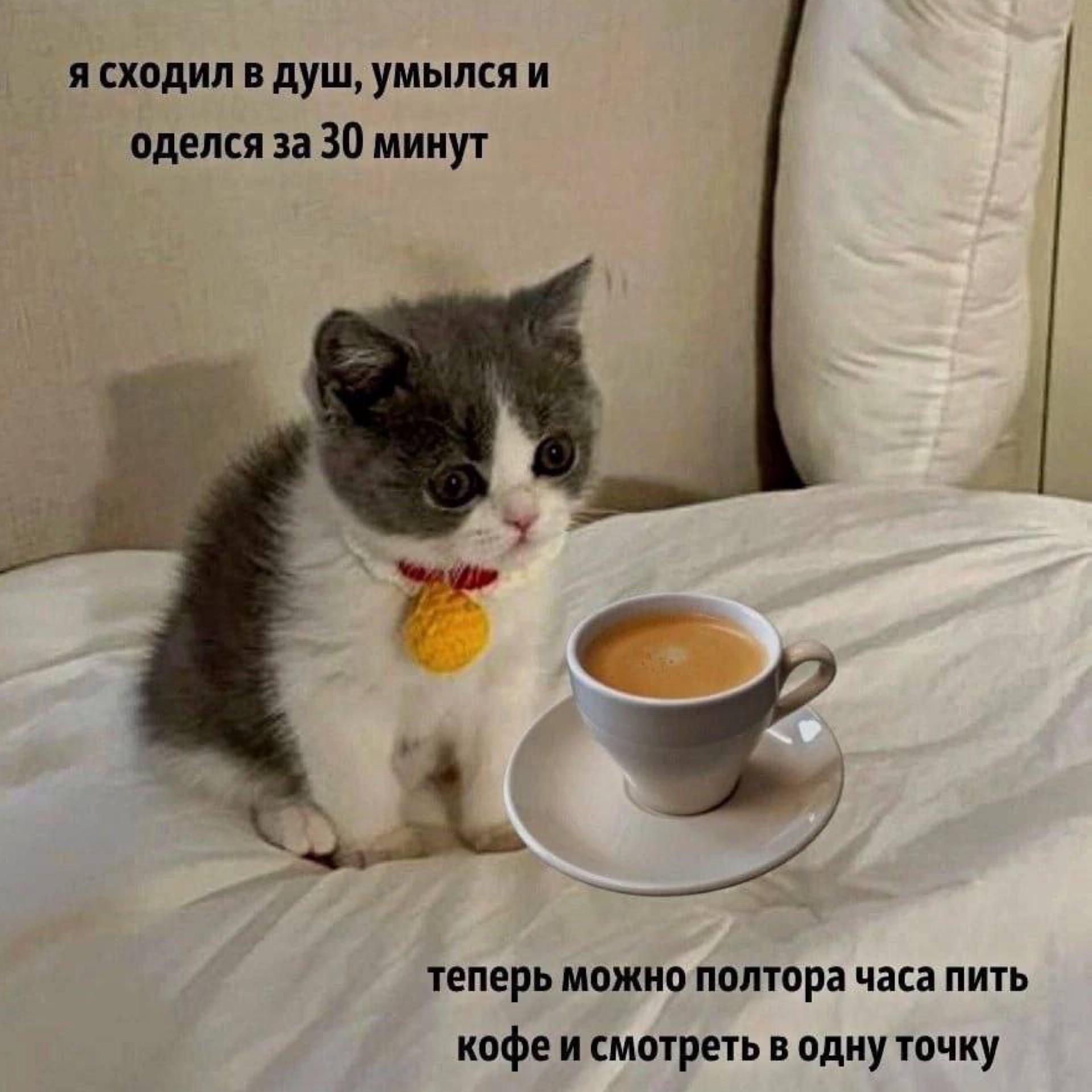Приглашение на кофе смешное