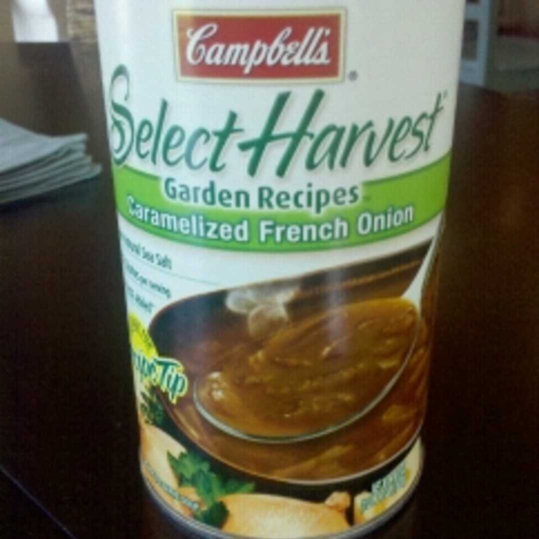 Campbell's Select Harvest Caramelized French Onion Soup