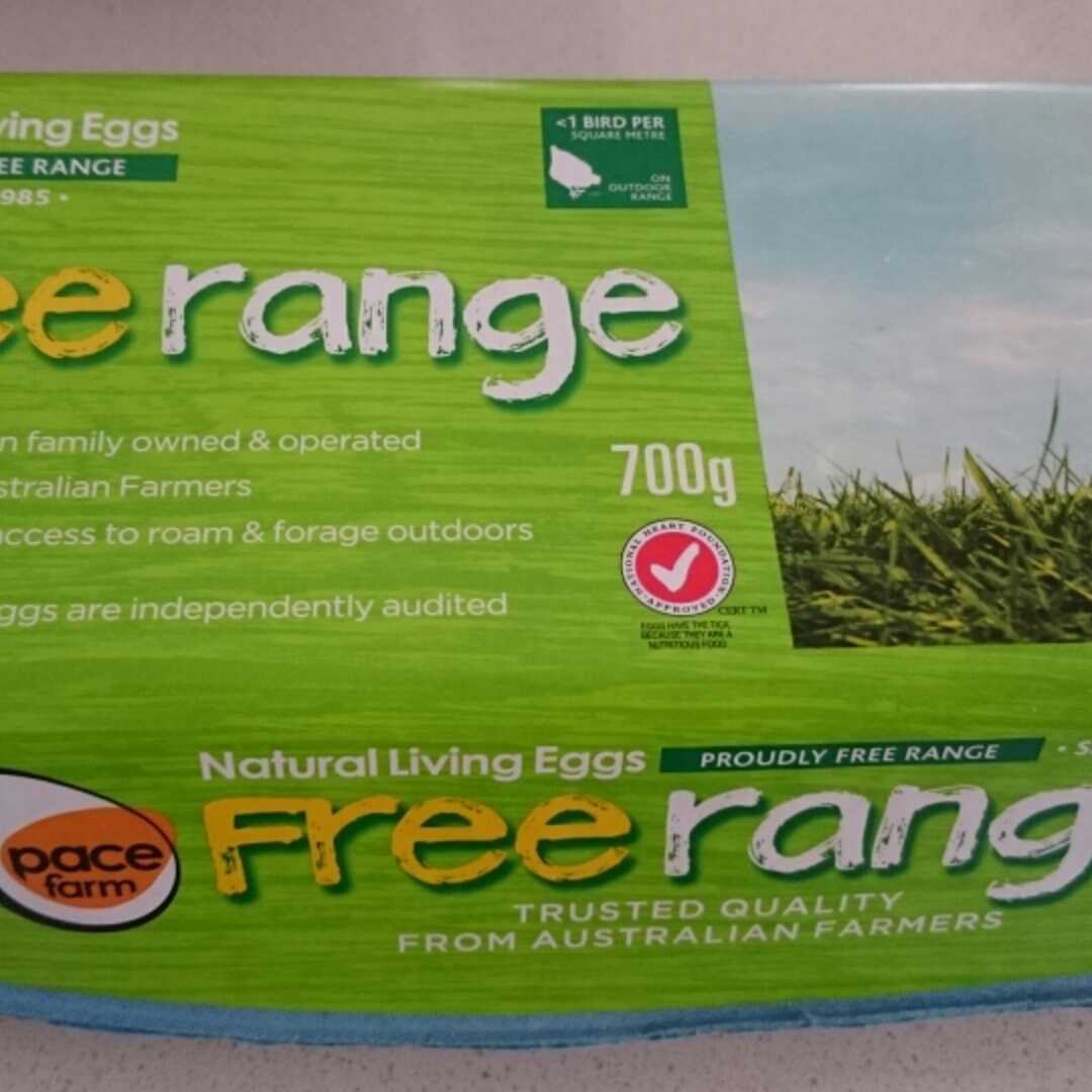 Pace Farm Free Range Eggs