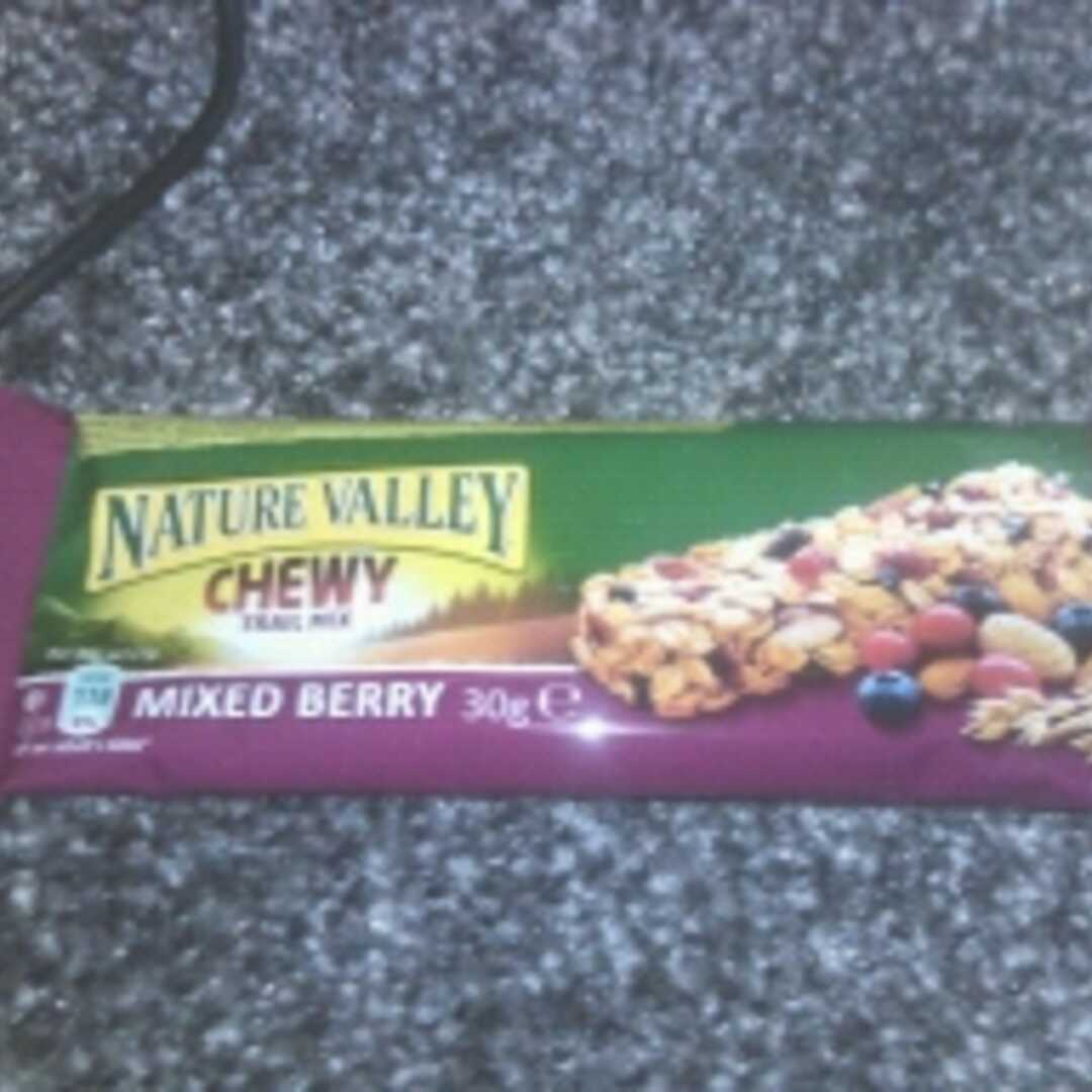 Nature Valley Chewy Trail Mix Bars - Mixed Berry