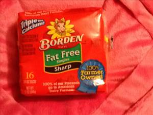 Borden Fat Free Single Cheese Slices