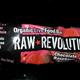 Raw Revolution Raspberry & Chocolate Organic Live Food Bar