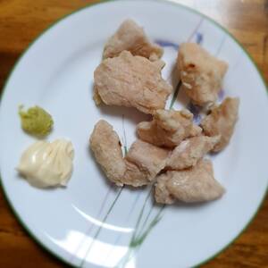 닭고기 가슴살 (구이 또는 튀김)