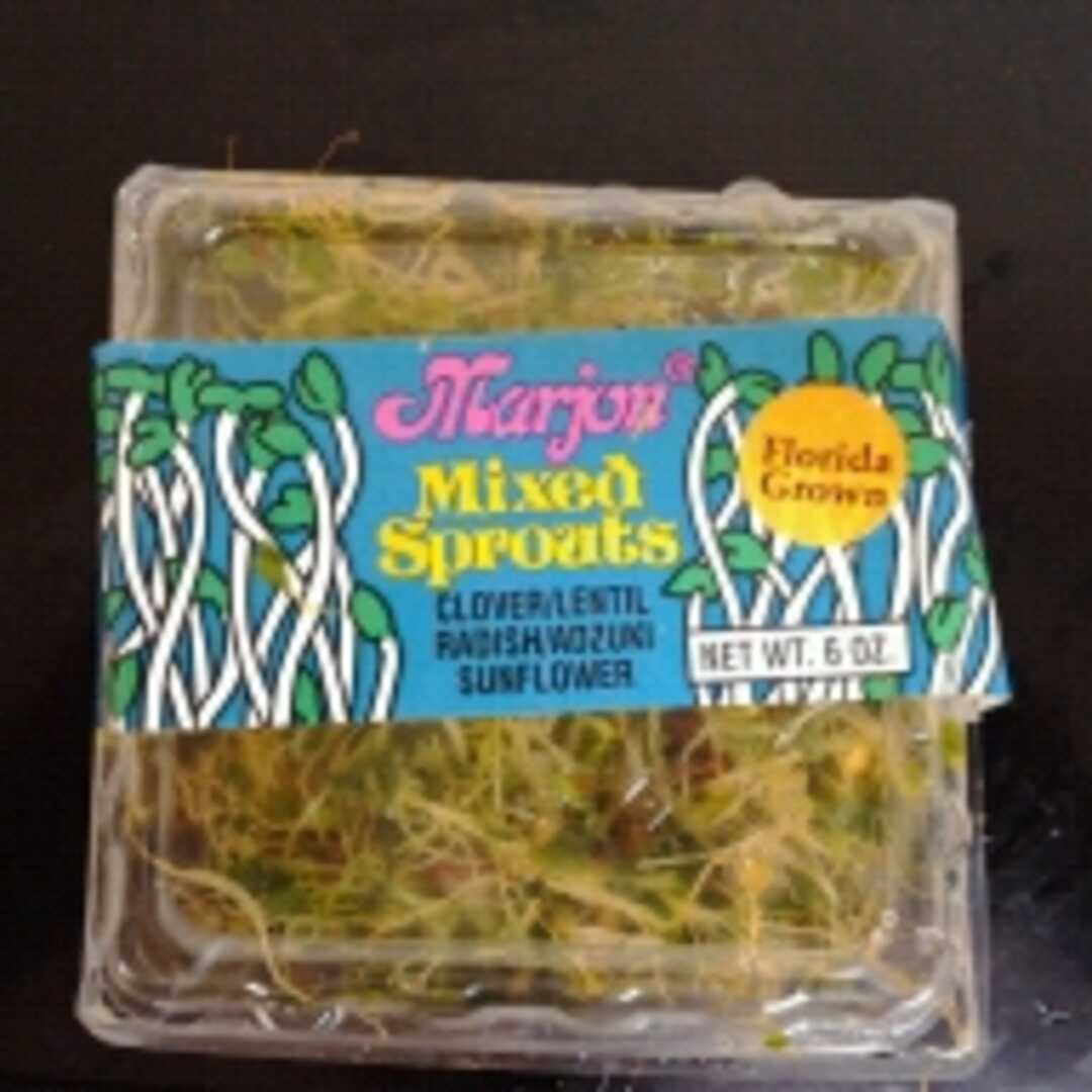 Marjon Mixed Sprouts