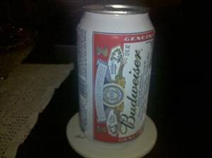 Anheuser-Busch Budweiser Beer