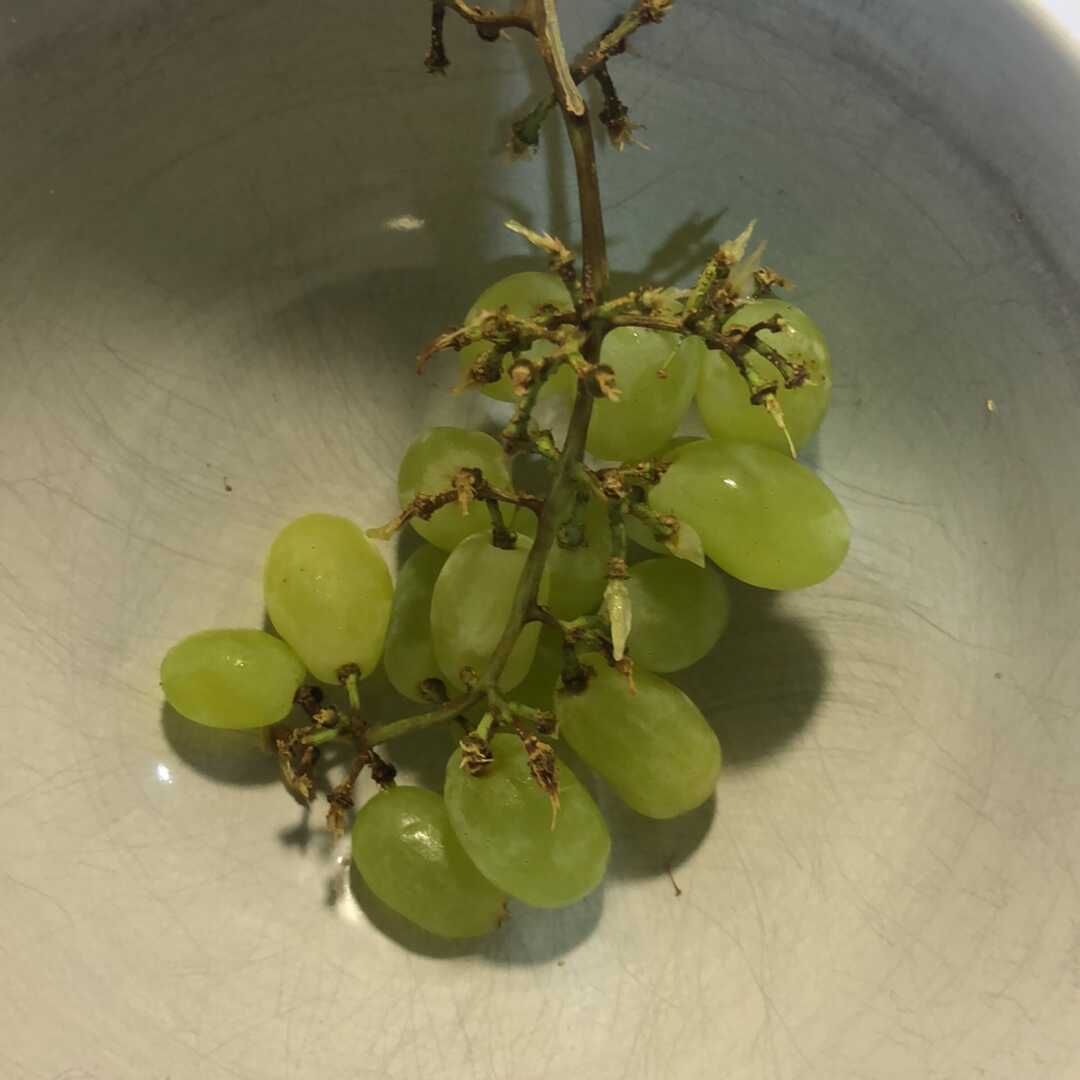 Calories in White Seedless Grapes from Green Seedless