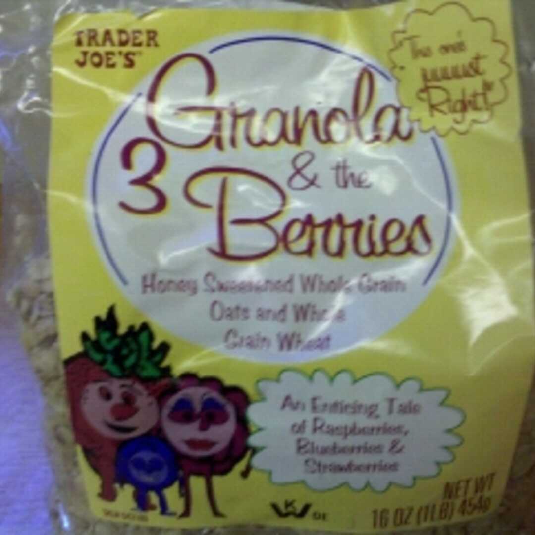 Trader Joe's Granola & The 3 Berries