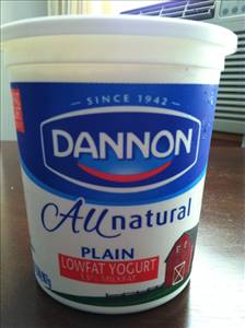 Dannon All Natural Lowfat Yogurt - Plain