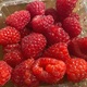 Raspberries
