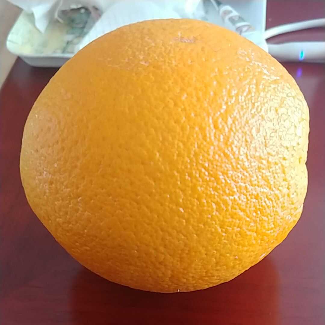 네이블 오렌지