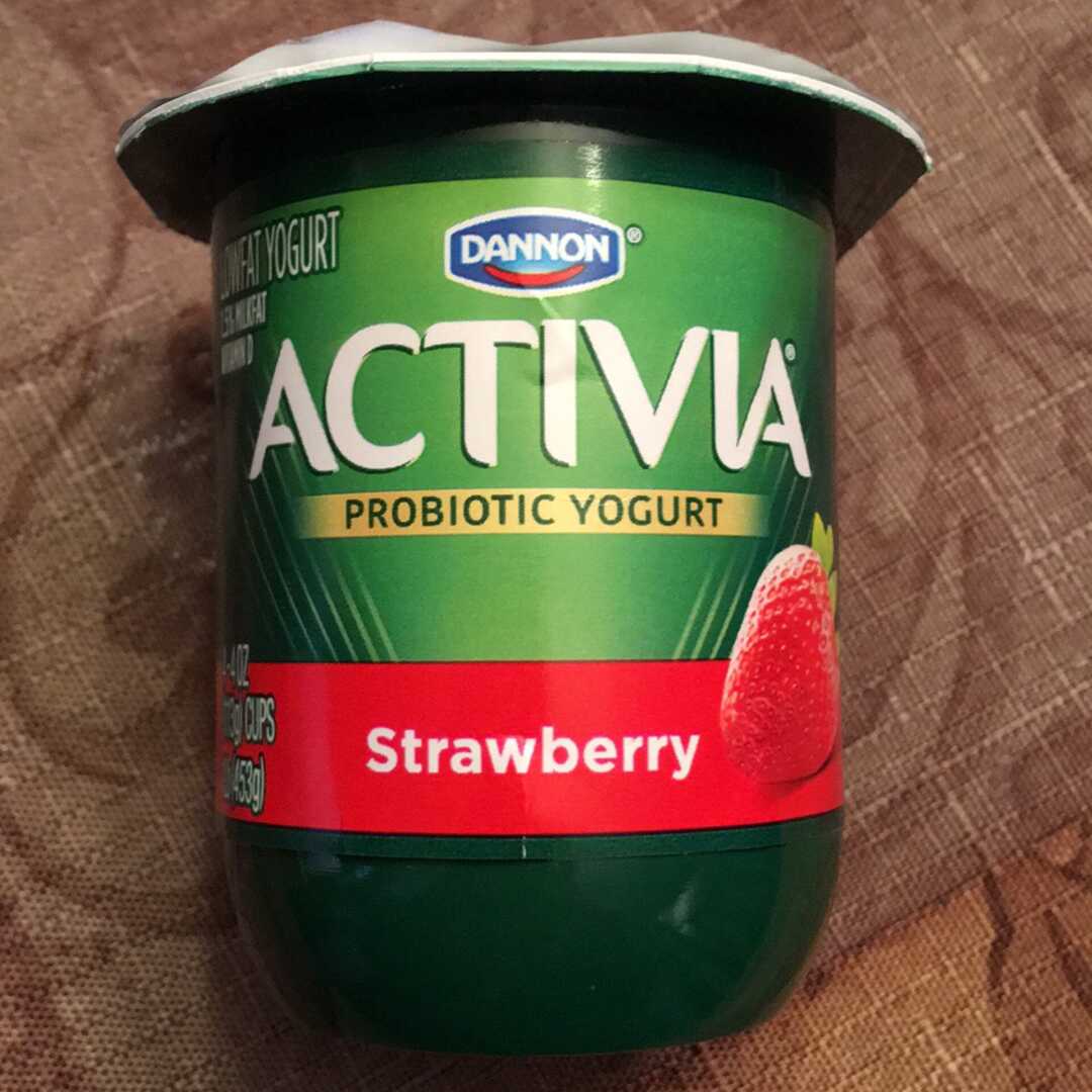 Strawberry Probiotic Yogurt