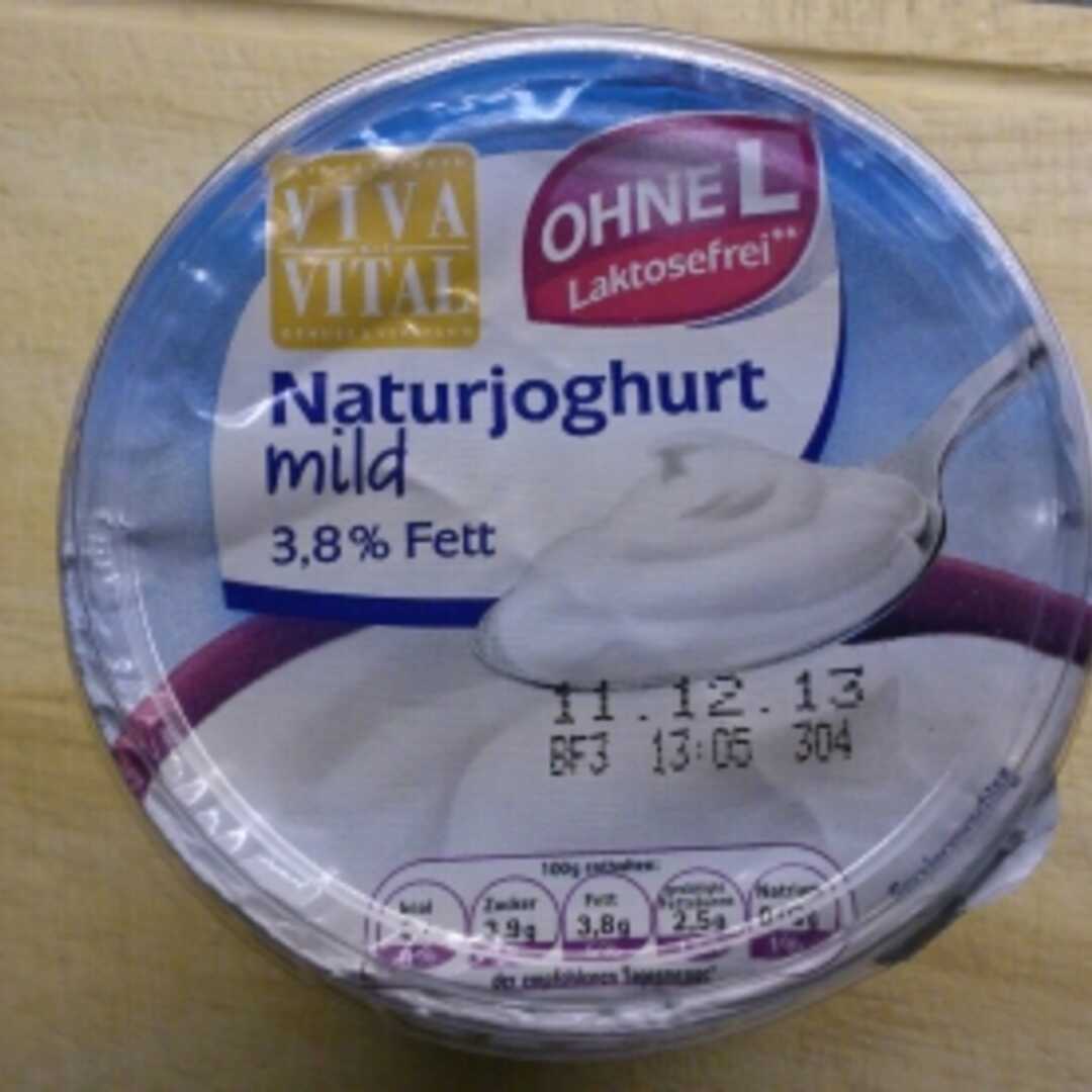 Vollmilch Naturjoghurt