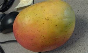 Fresh & Easy Mango