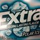 Wrigley Extra Sugar Free Gum -  Polar Ice
