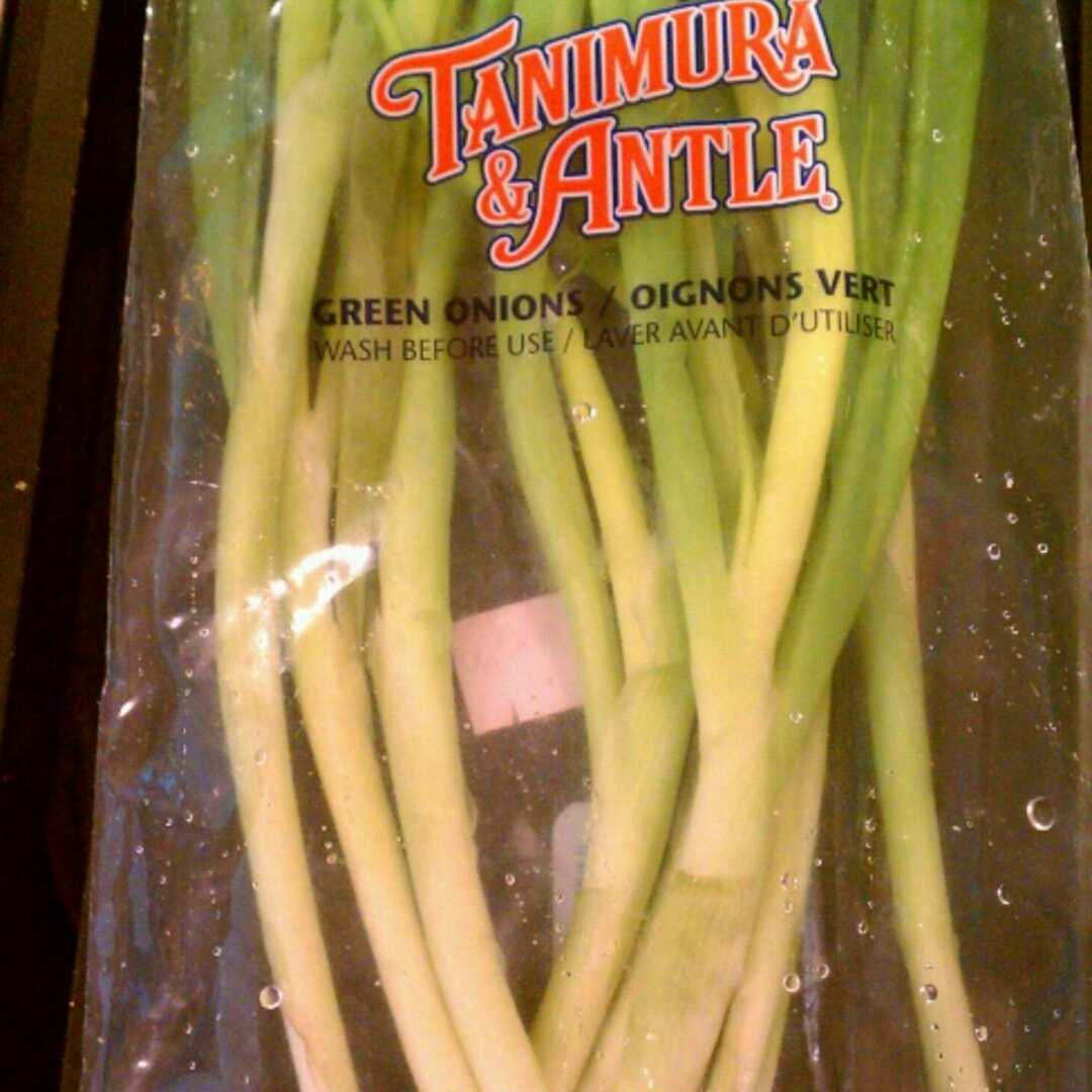 Tanimura & Antle Green Onion