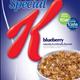 Kellogg's Special K Blueberry Cereal