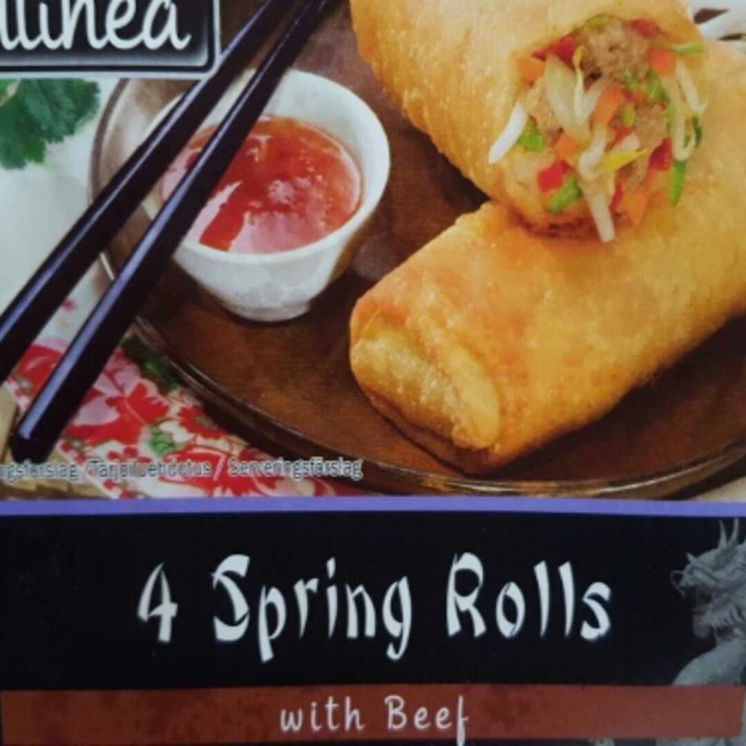 Culinea Spring Rolls With Beef